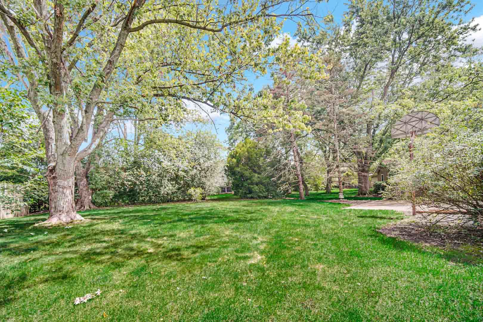 2826 Walnut Road Homewood, IL 60430 - Photo 20 of 20 a view of a grassy field with trees in the background