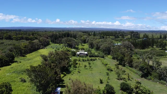 a view of a city with lush green forest