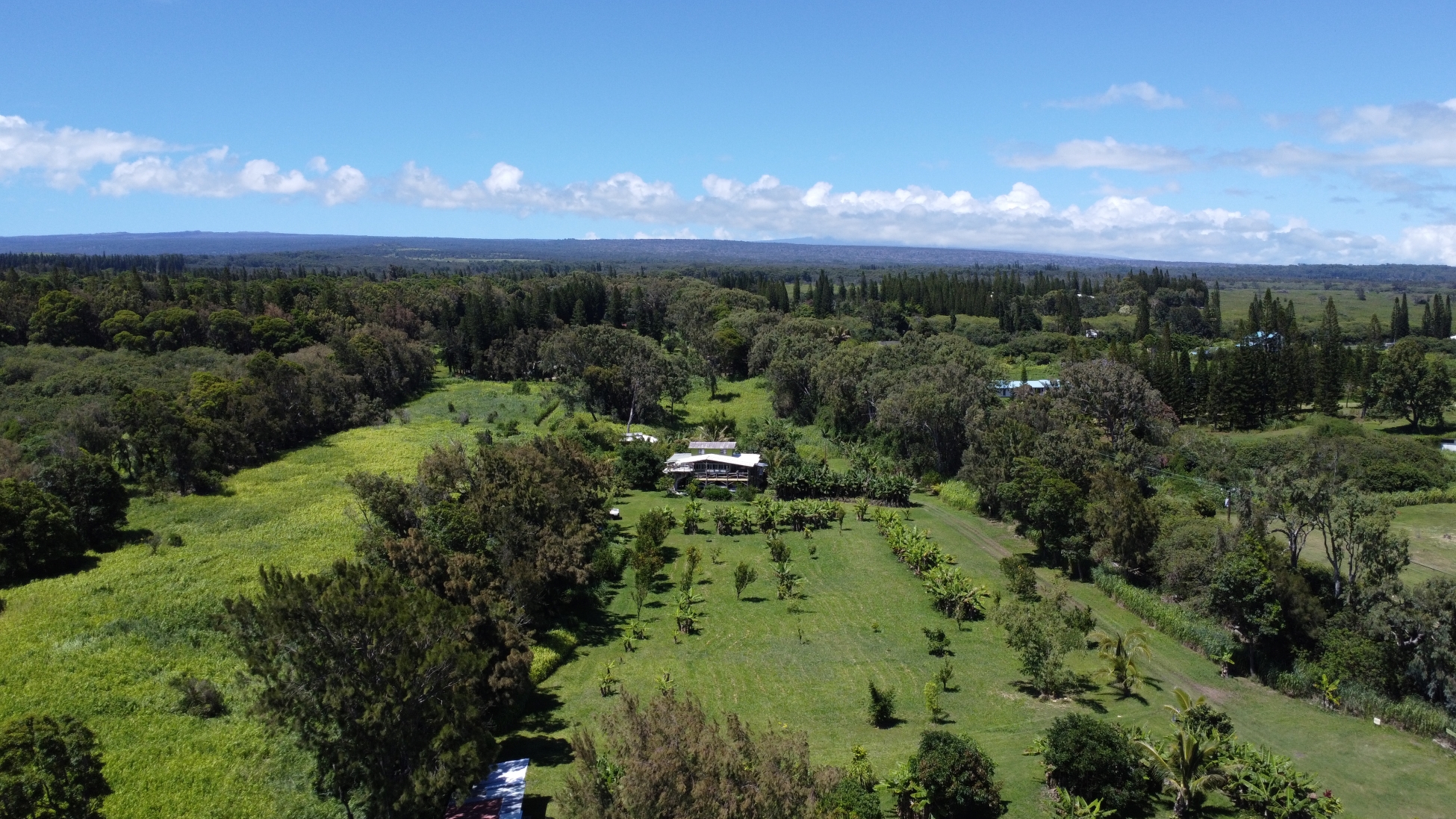 93-2073 South Point Road Captain Cook, HI 96704 - Photo 1 of 19 a view of a city with lush green forest