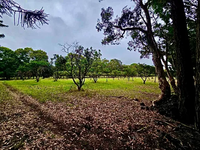 $1,100,000 | 93-2073 South Point Road, Captain Cook, HI 96704