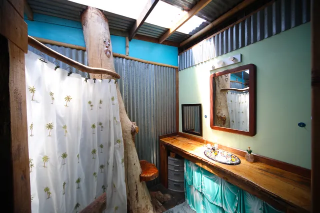 a bathroom with a sink a mirror and a shower