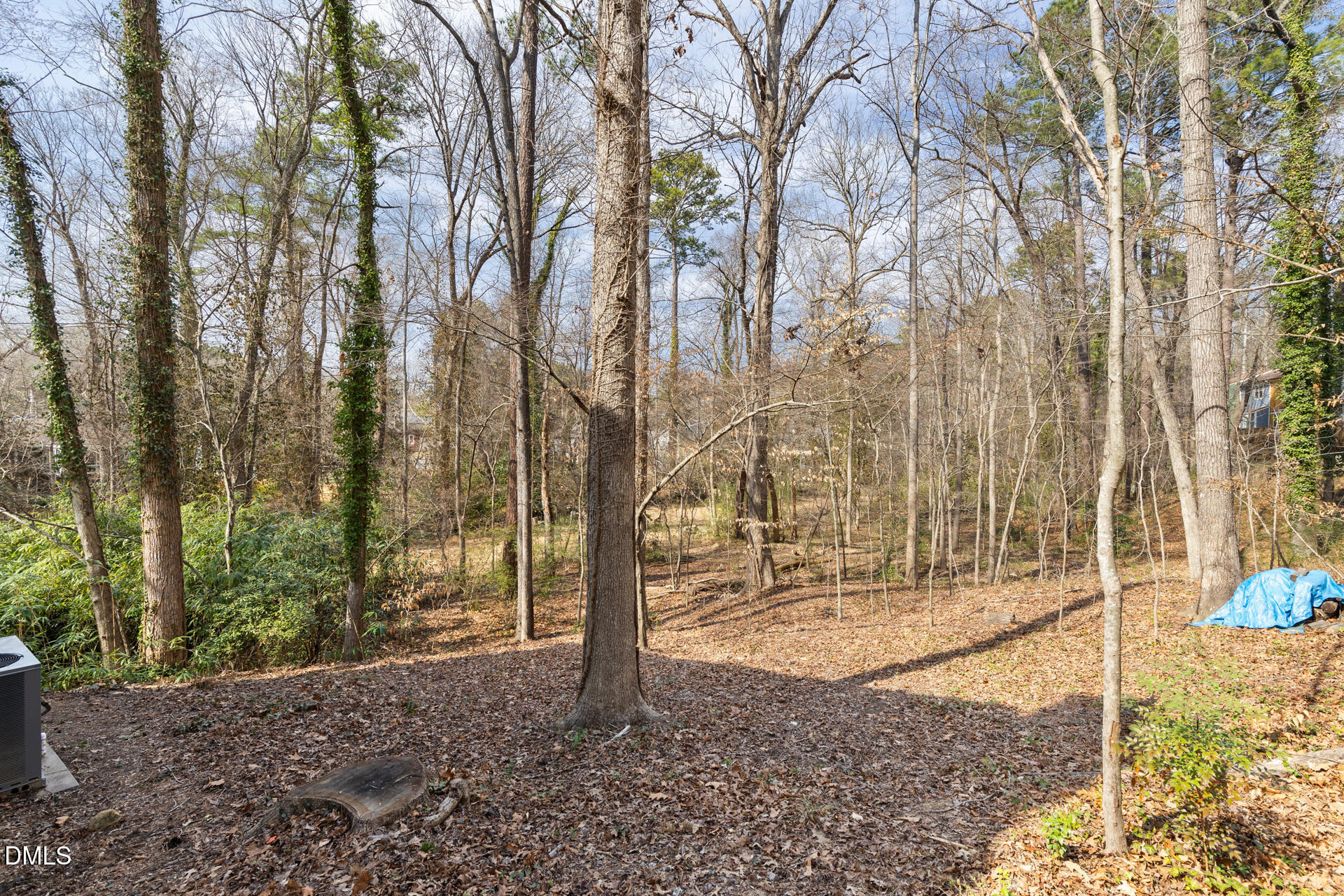 1004 Cheviot Avenue Durham, NC 27707 - Photo 31 of 34 a view of outdoor space