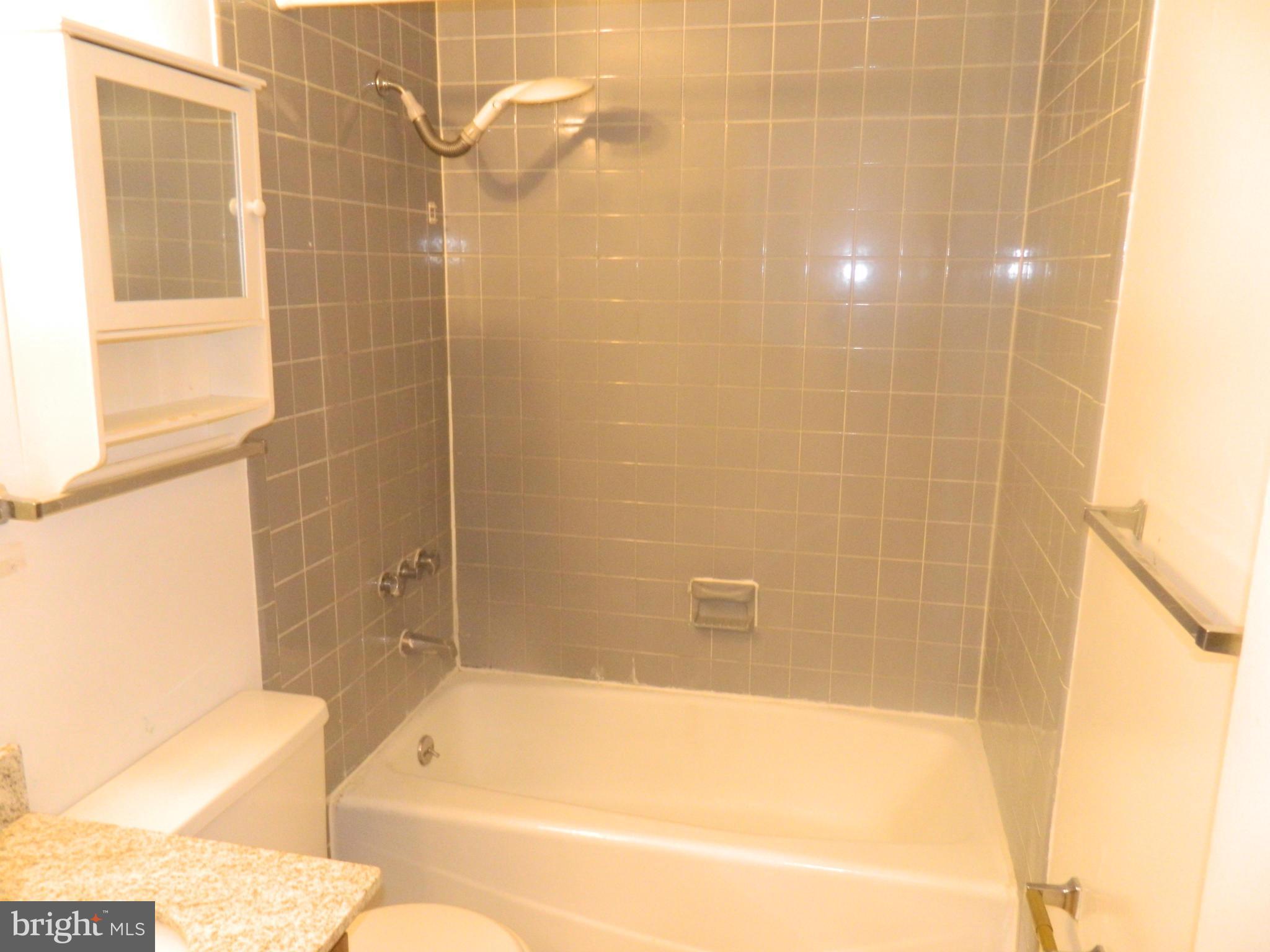 1631 Riedel Road Crofton, MD 21114 - Photo 12 of 14 Full Bath