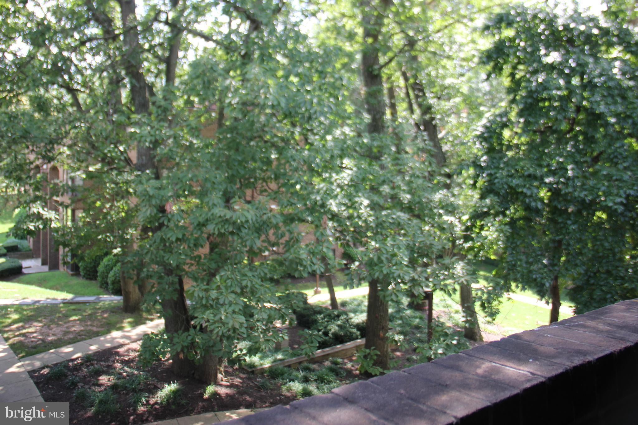 11240 Chestnut Grove Square, Unit 360 Reston, VA 20190 - Photo 16 of 29 View from Balcony