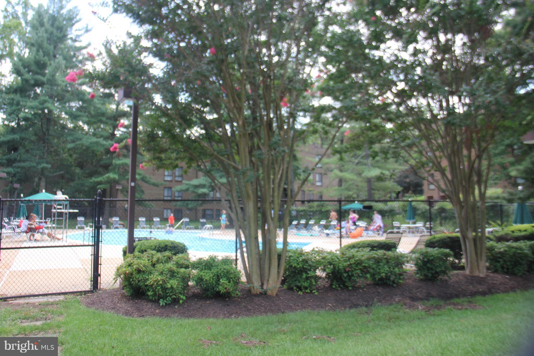 11240 Chestnut Grove Square, Unit 360 Reston, VA 20190 - Photo 21 of 29 Outdoor pool