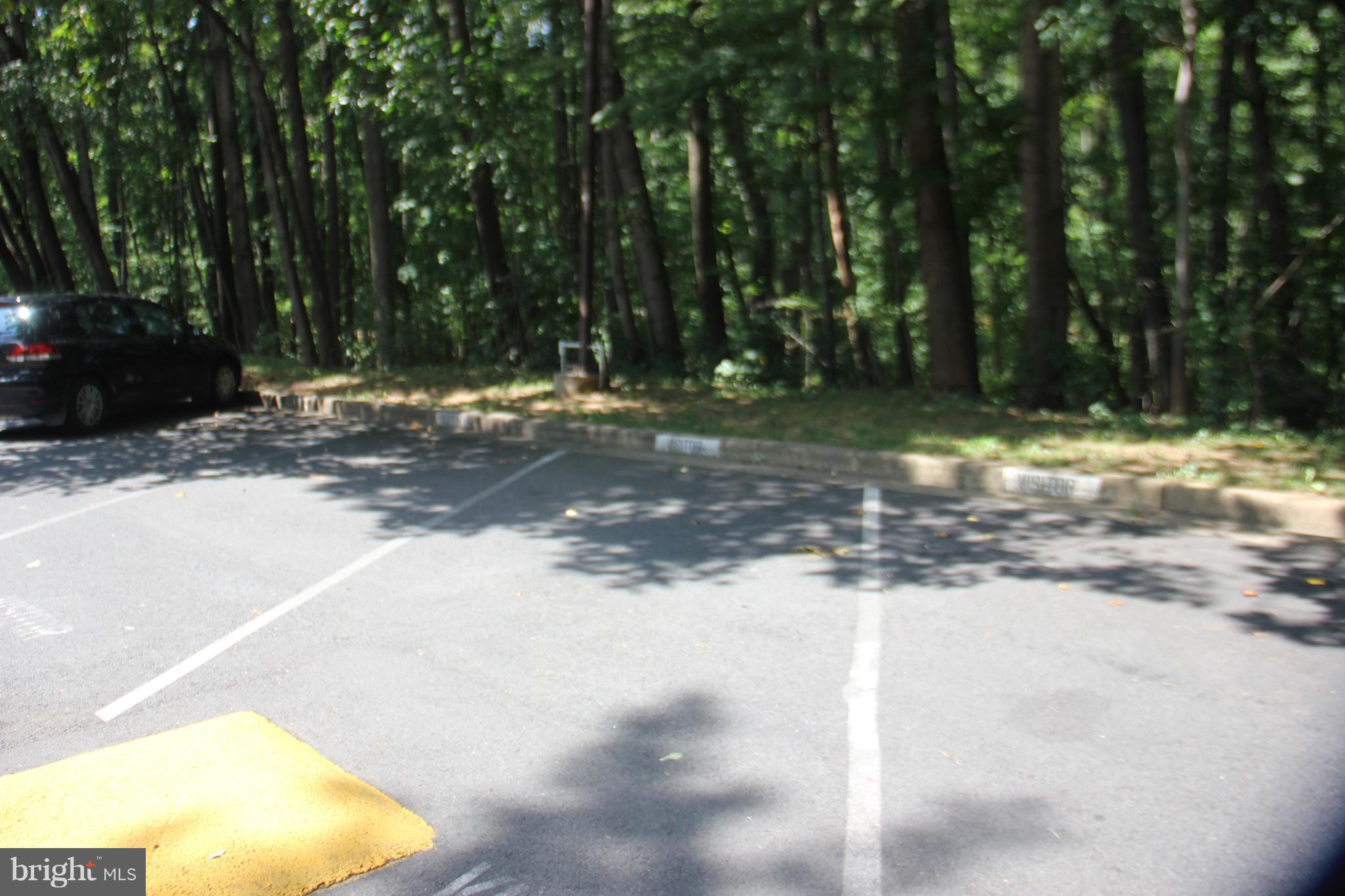 11240 Chestnut Grove Square, Unit 360 Reston, VA 20190 - Photo 22 of 29 Ample visitor parking
