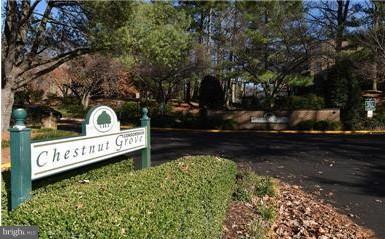 11240 Chestnut Grove Square, Unit 360 Reston, VA 20190 - Photo 25 of 29 Community
