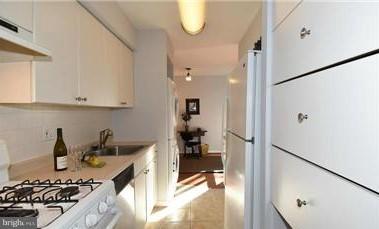 11240 Chestnut Grove Square, Unit 360 Reston, VA 20190 - Photo 4 of 29 Kitchen