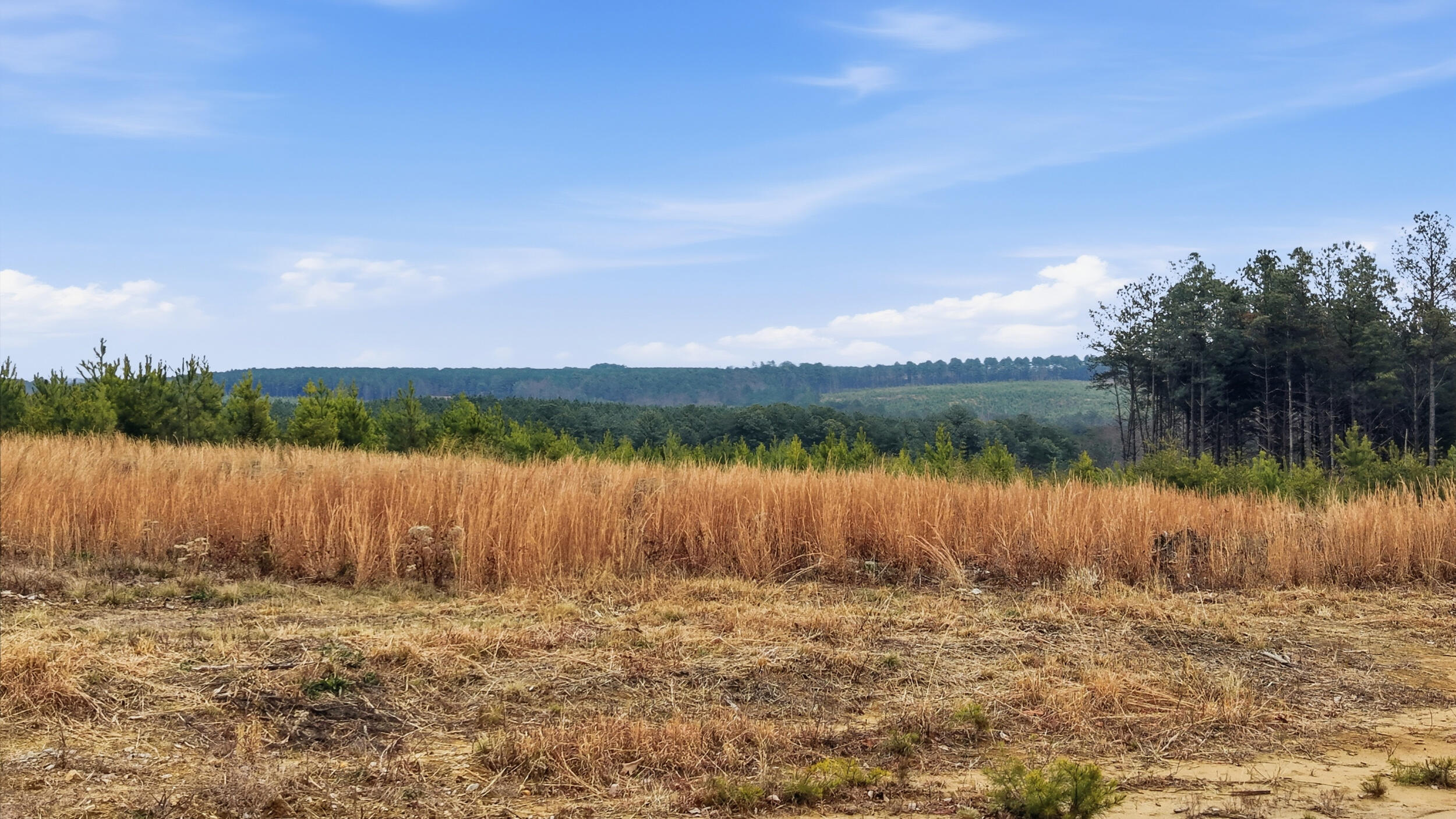 Lot 6 Longview Ridge Dunlap, TN 37327 - Photo 2 of 7 lot 6 longview ridge-2