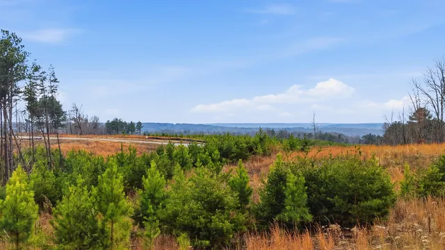 $70,000 | Lot 6 Longview Ridge, Dunlap, TN 37327