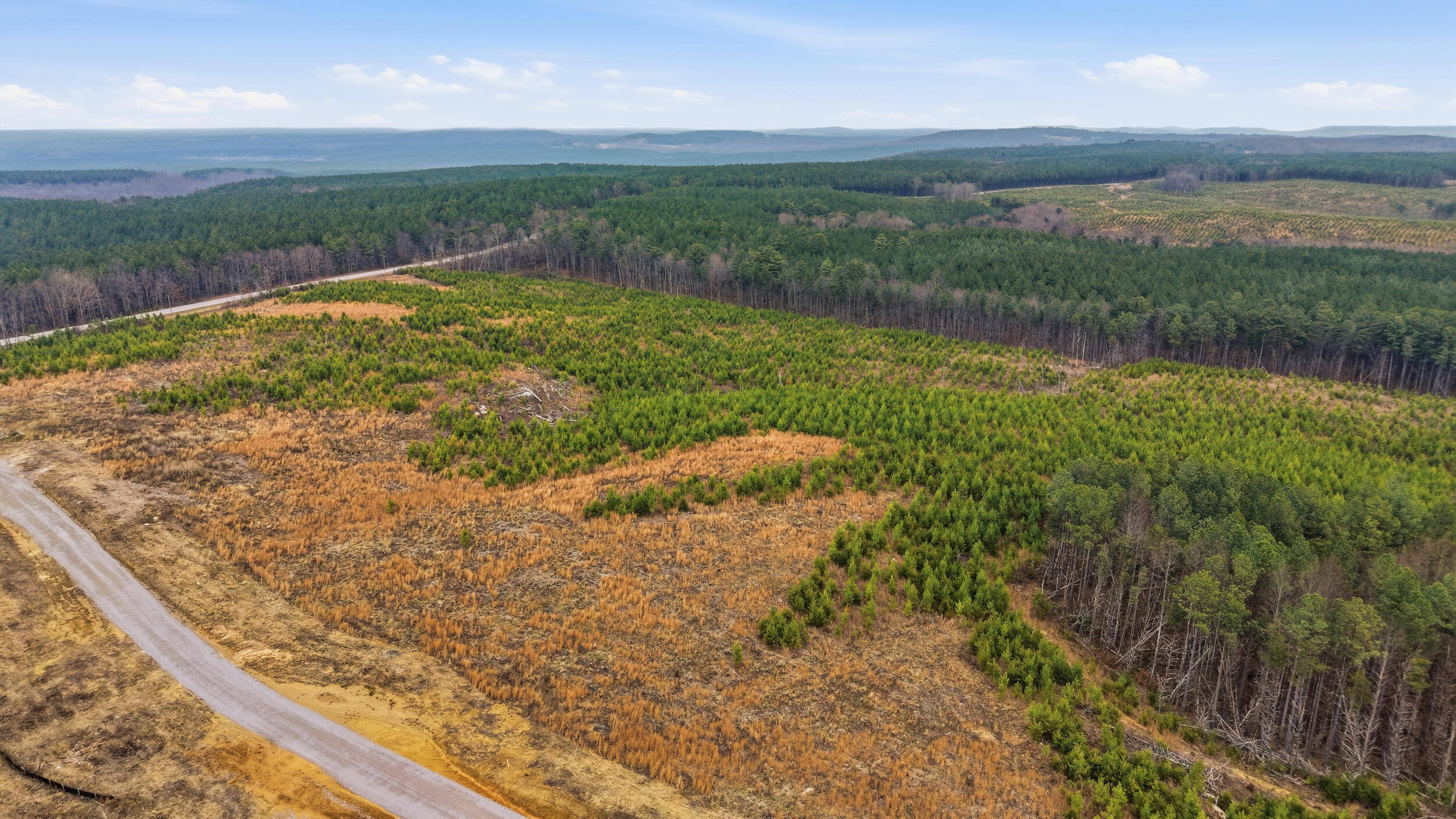 Lot 6 Longview Ridge Dunlap, TN 37327 - Photo 4 of 7 lot 6 longview ridge-5