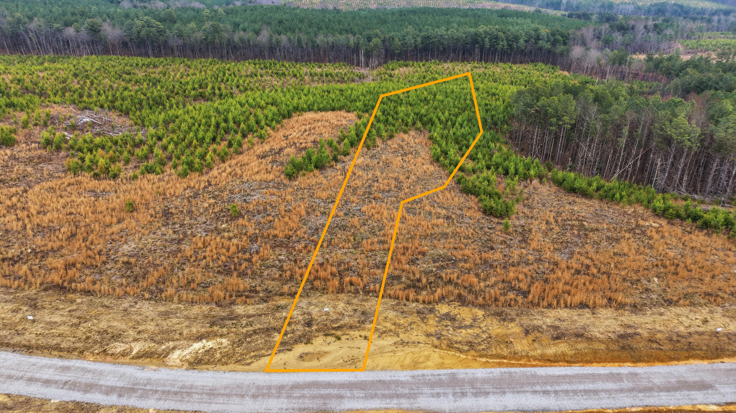 Lot 6 Longview Ridge Dunlap, TN 37327 - Photo 7 of 7 lot 6 longview ridge-4