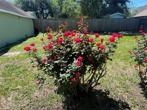a flower garden