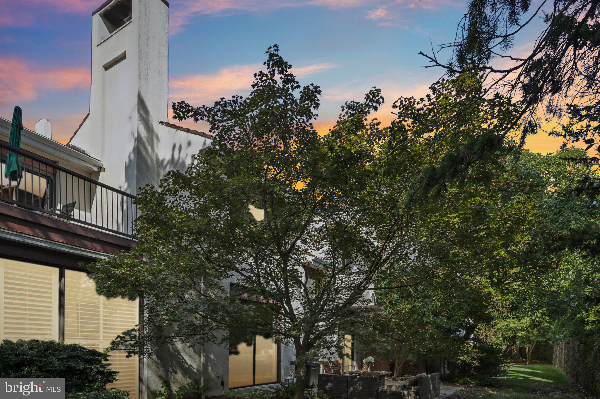 6 Avignon Devon, PA 19333 - Photo 57 of 61 a picture of tree