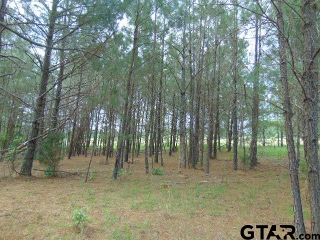 3159-c R 3114th Jacksonville, TX 75766 - Photo 12 of 23 a view of outdoor space with trees