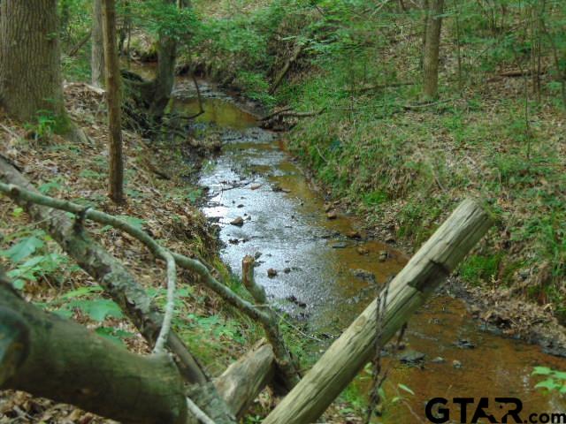 3159-c R 3114th Jacksonville, TX 75766 - Photo 15 of 23 a view of a forest