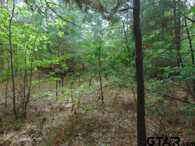 3159-c R 3114th Jacksonville, TX 75766 - Photo 17 of 23 a view of forest