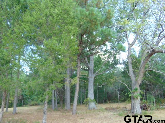 3159-c R 3114th Jacksonville, TX 75766 - Photo 20 of 23 a view of a forest with trees in the background