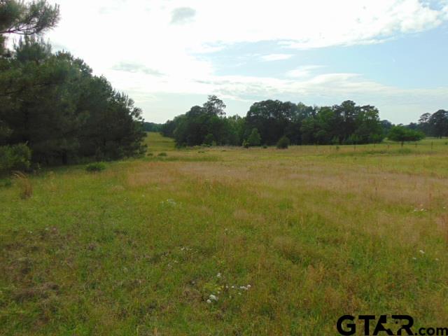 3159-c R 3114th Jacksonville, TX 75766 - Photo 3 of 23 a view of an ocean from a yard