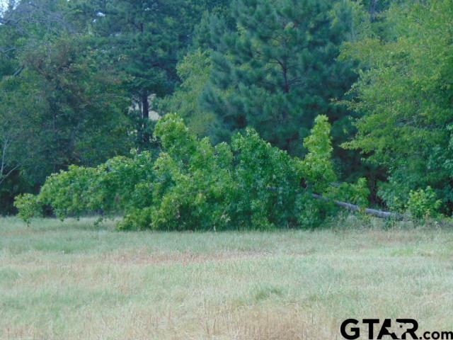 3159-c R 3114th Jacksonville, TX 75766 - Photo 5 of 23 a view of a field