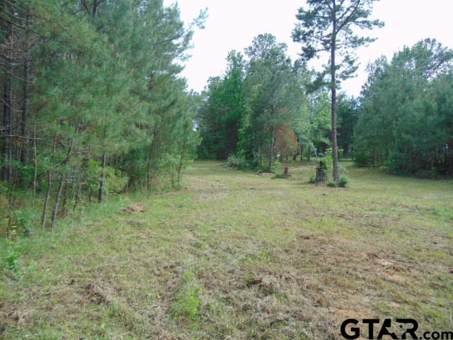 3159-c R 3114th Jacksonville, TX 75766 - Photo 6 of 23 a big yard with lots of green space and deers