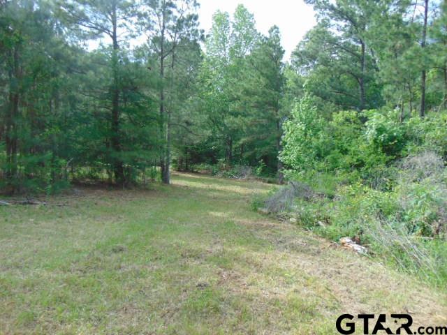 3159-c R 3114th Jacksonville, TX 75766 - Photo 7 of 23 a big yard with lots of green space and deers