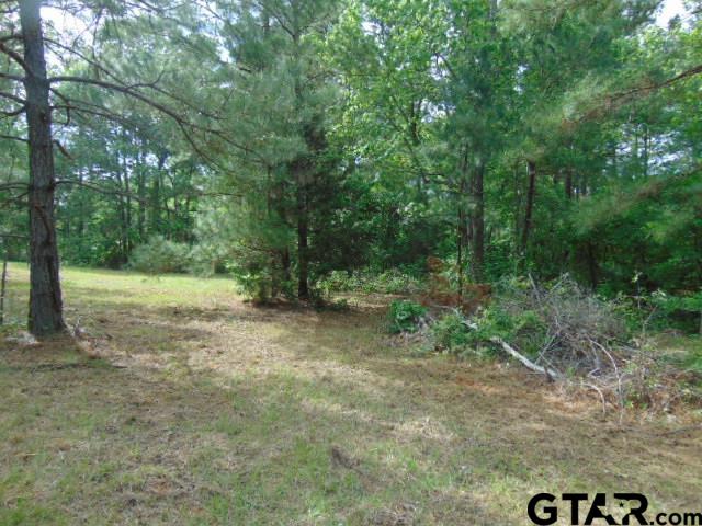 3159-c R 3114th Jacksonville, TX 75766 - Photo 8 of 23 a view of a forest with trees in the background