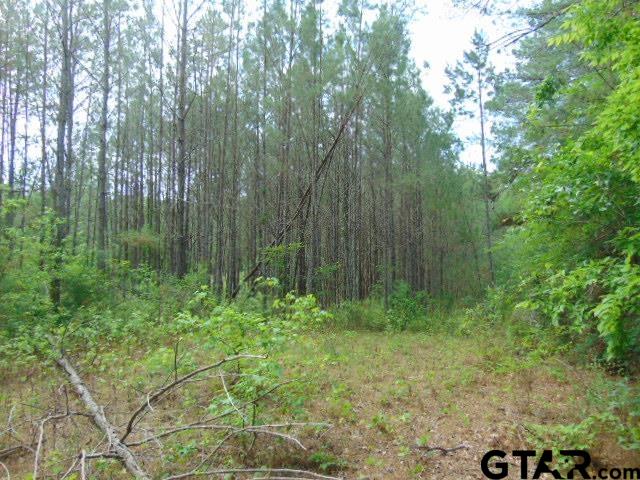 3159-c R 3114th Jacksonville, TX 75766 - Photo 9 of 23 a view of backyard with green space