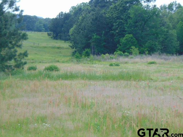 3159-c R 3114th Jacksonville, TX 75766 - Photo 10 of 23 a view of a lush green field