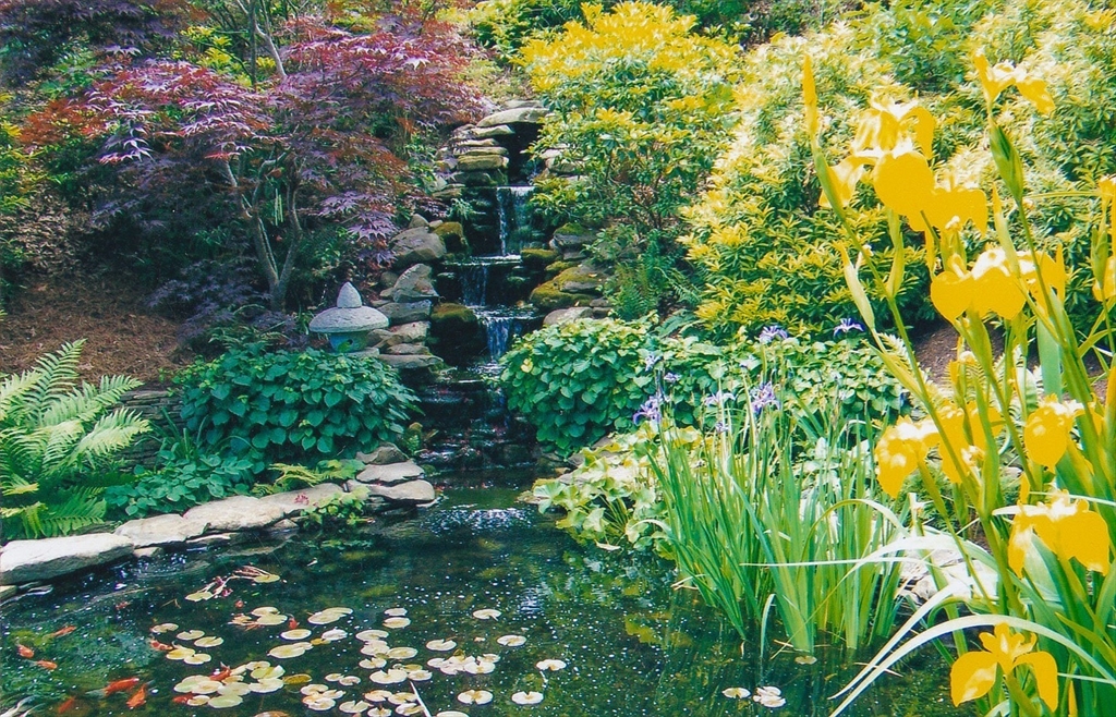 41 Court Street North Chatham, MA 02650 - Photo 34 of 42