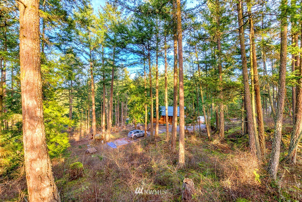 239 Gibbs Road Orcas Island, WA 98280 - Photo 2 of 25 Gallery Image 2