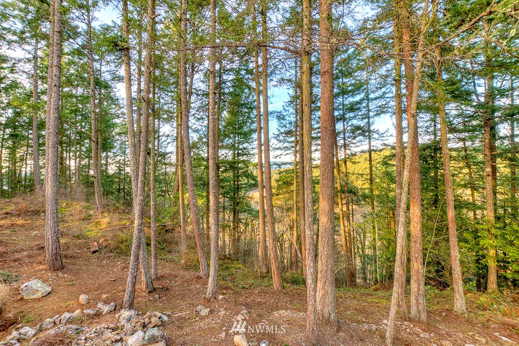 239 Gibbs Road Orcas Island, WA 98280 - Photo 24 of 25 Gallery Image 24