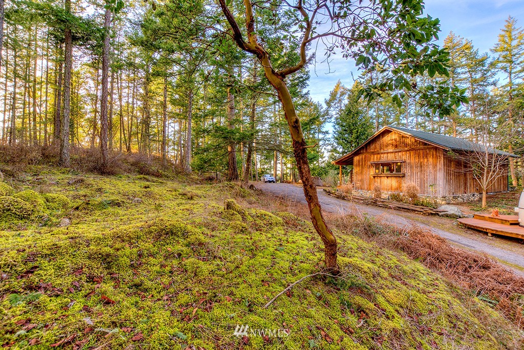 239 Gibbs Road Orcas Island, WA 98280 - Photo 25 of 25 Gallery Image 25
