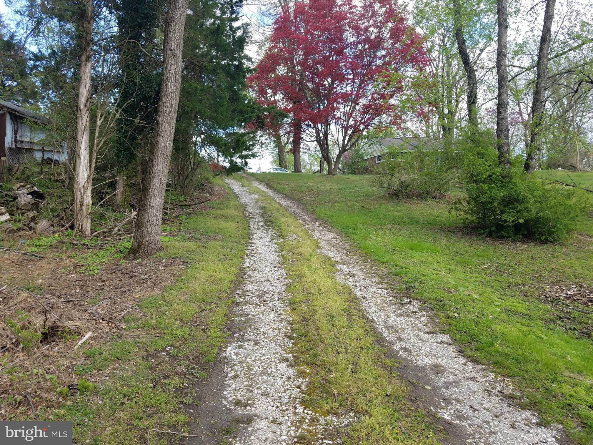 6650 Seneca Farm Road Columbia, MD 21046 - Photo 1 of 43