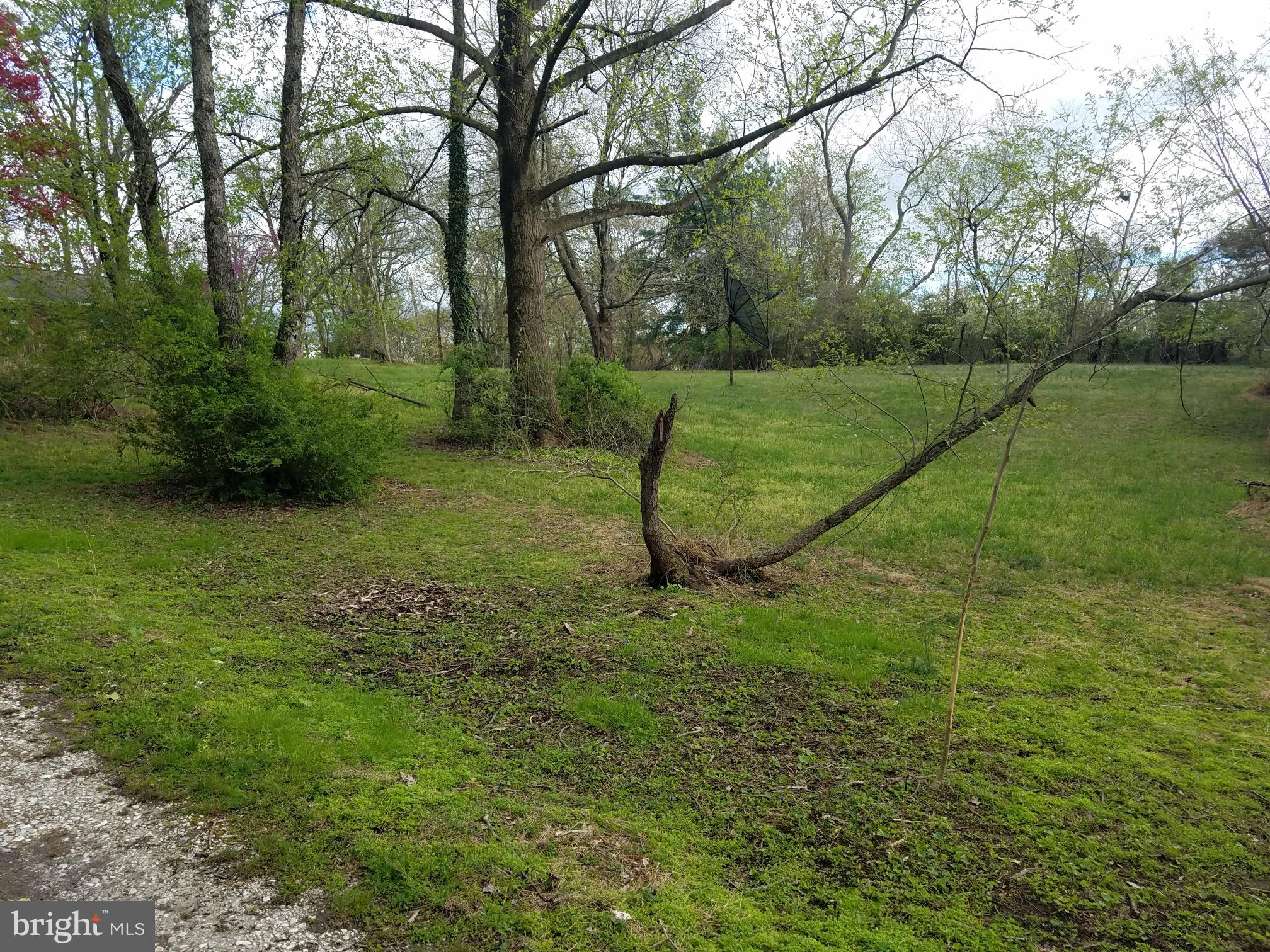6650 Seneca Farm Road Columbia, MD 21046 - Photo 13 of 43