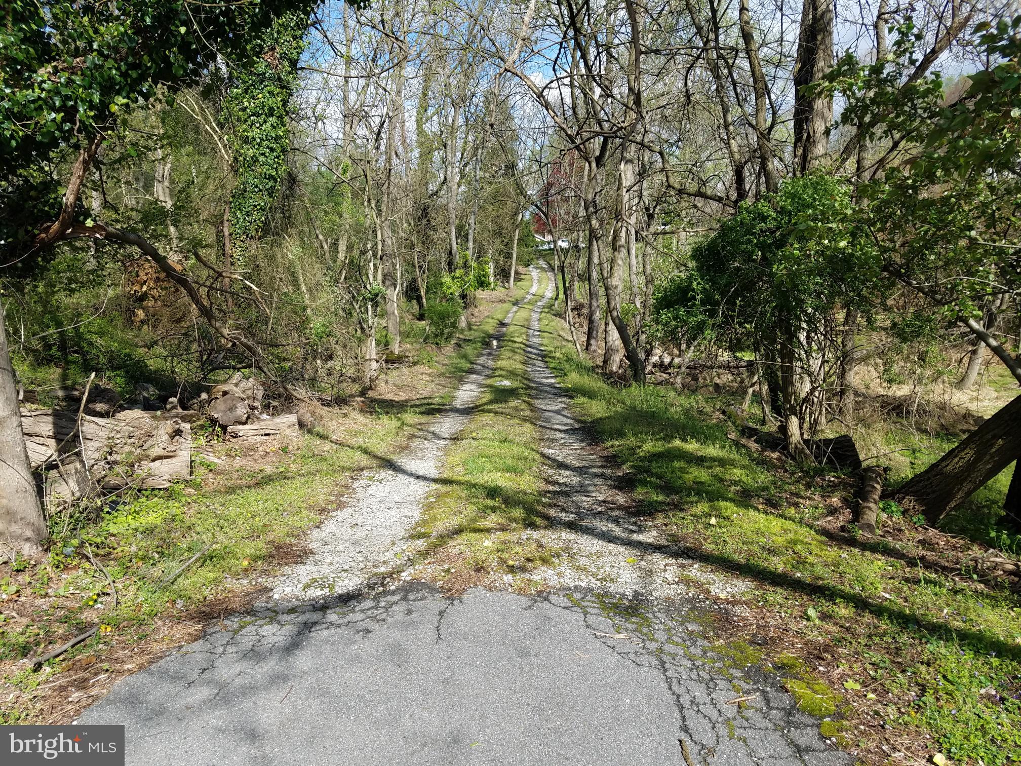 6650 Seneca Farm Road Columbia, MD 21046 - Photo 3 of 43