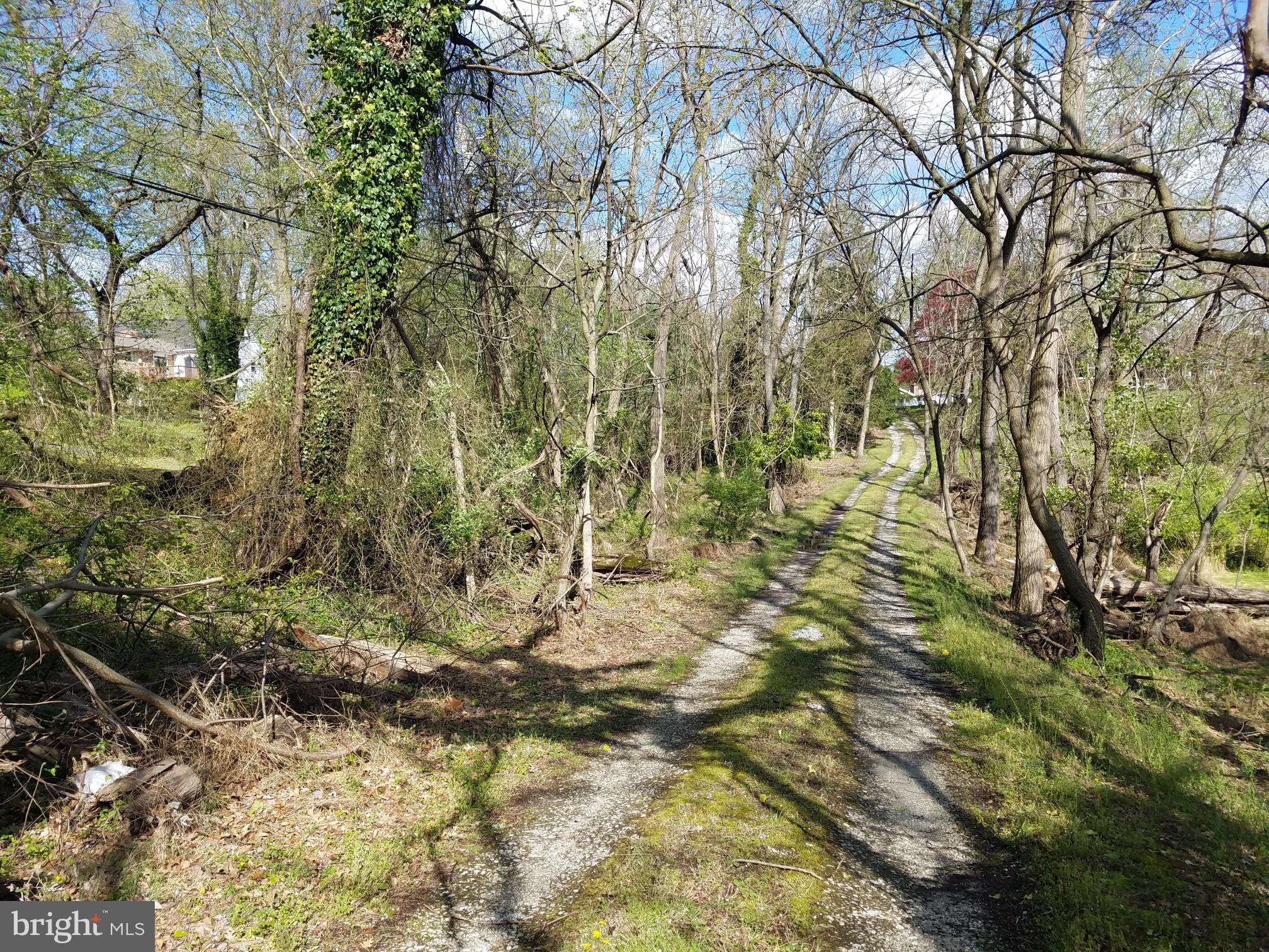 6650 Seneca Farm Road Columbia, MD 21046 - Photo 4 of 43