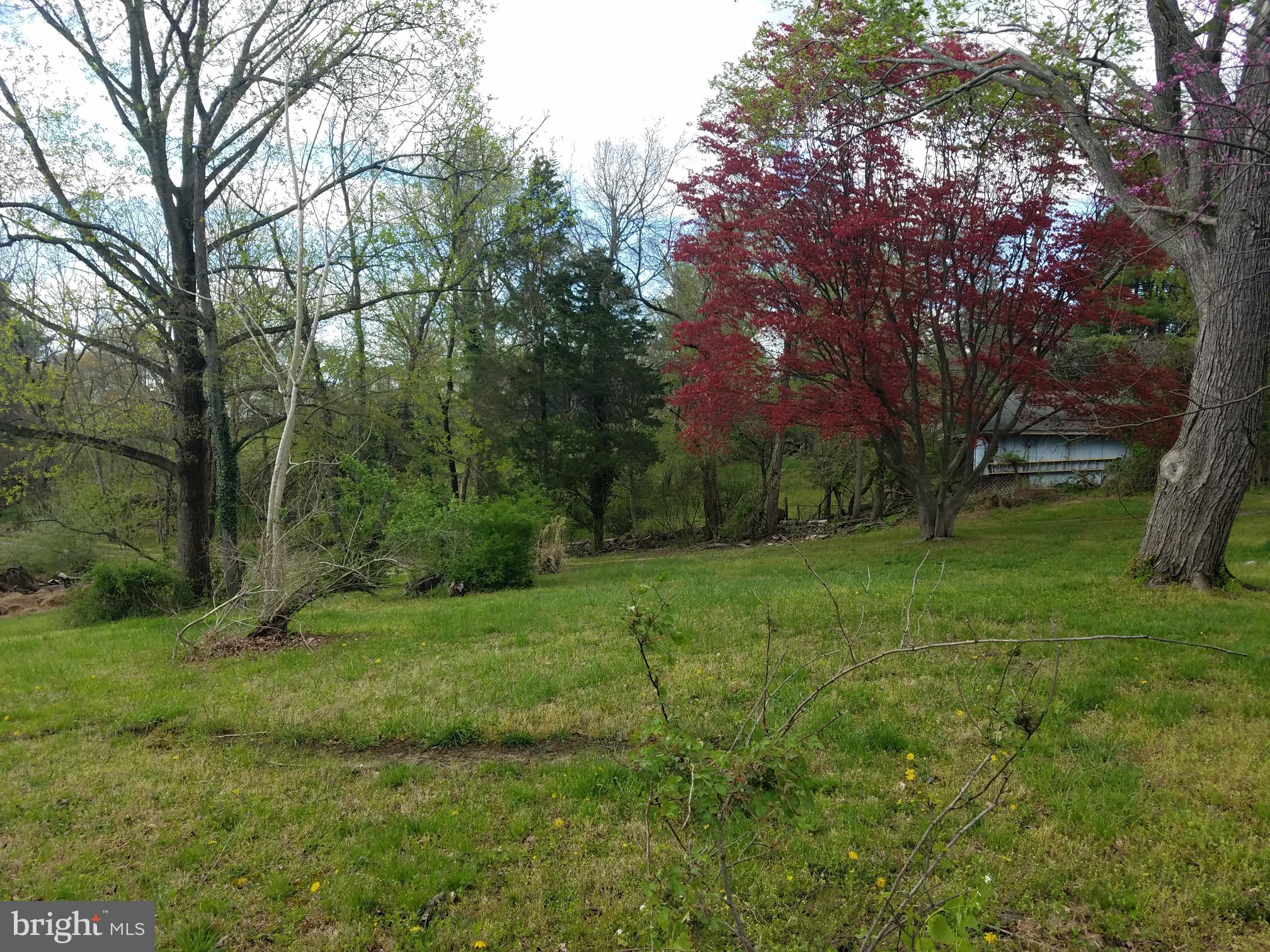 6650 Seneca Farm Road Columbia, MD 21046 - Photo 38 of 43