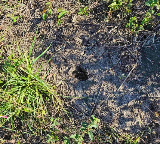 $150,000 | Xxx Hosford Highway, Quincy, FL 32351