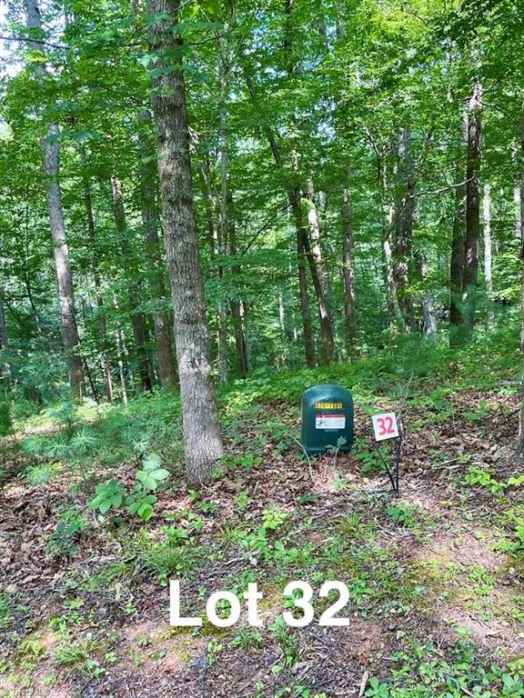 Lot 32 Reserve Stuart Trail Stuart, VA 24171 - Photo 1 of 9