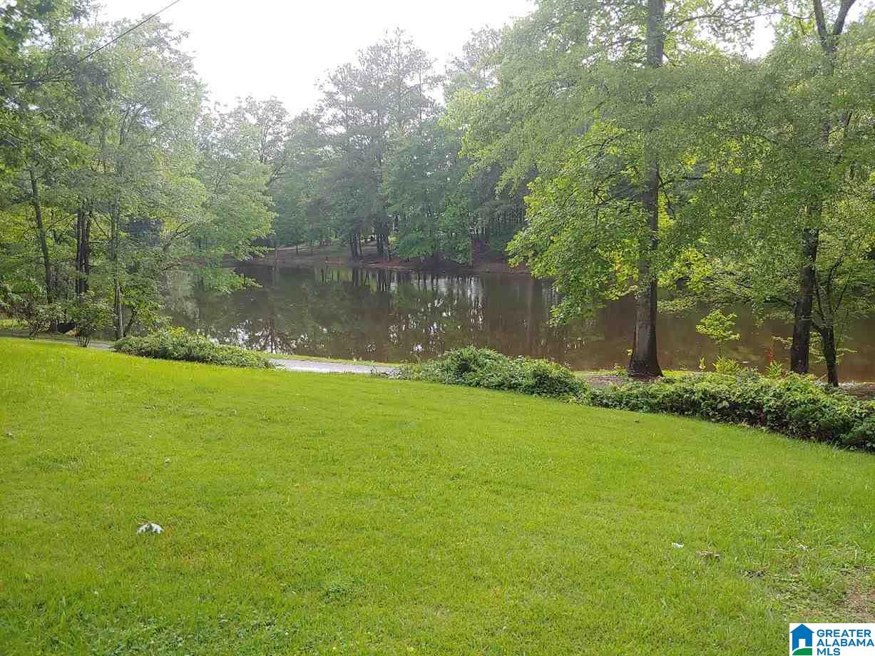 245 Jones Lake Road Sylacauga, AL 35151 - Photo 3 of 22