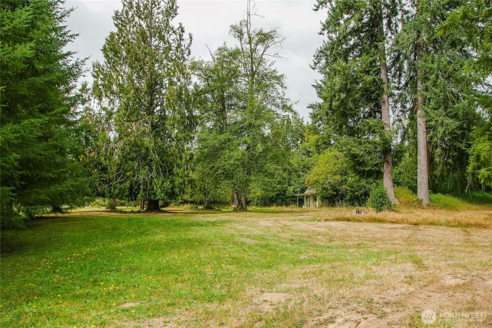 a backyard of a house with lots of green space