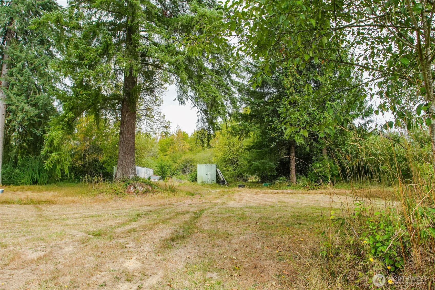 459 View Ridge Road Onalaska, WA 98570 - Photo 11 of 24 a backyard of a house with large trees