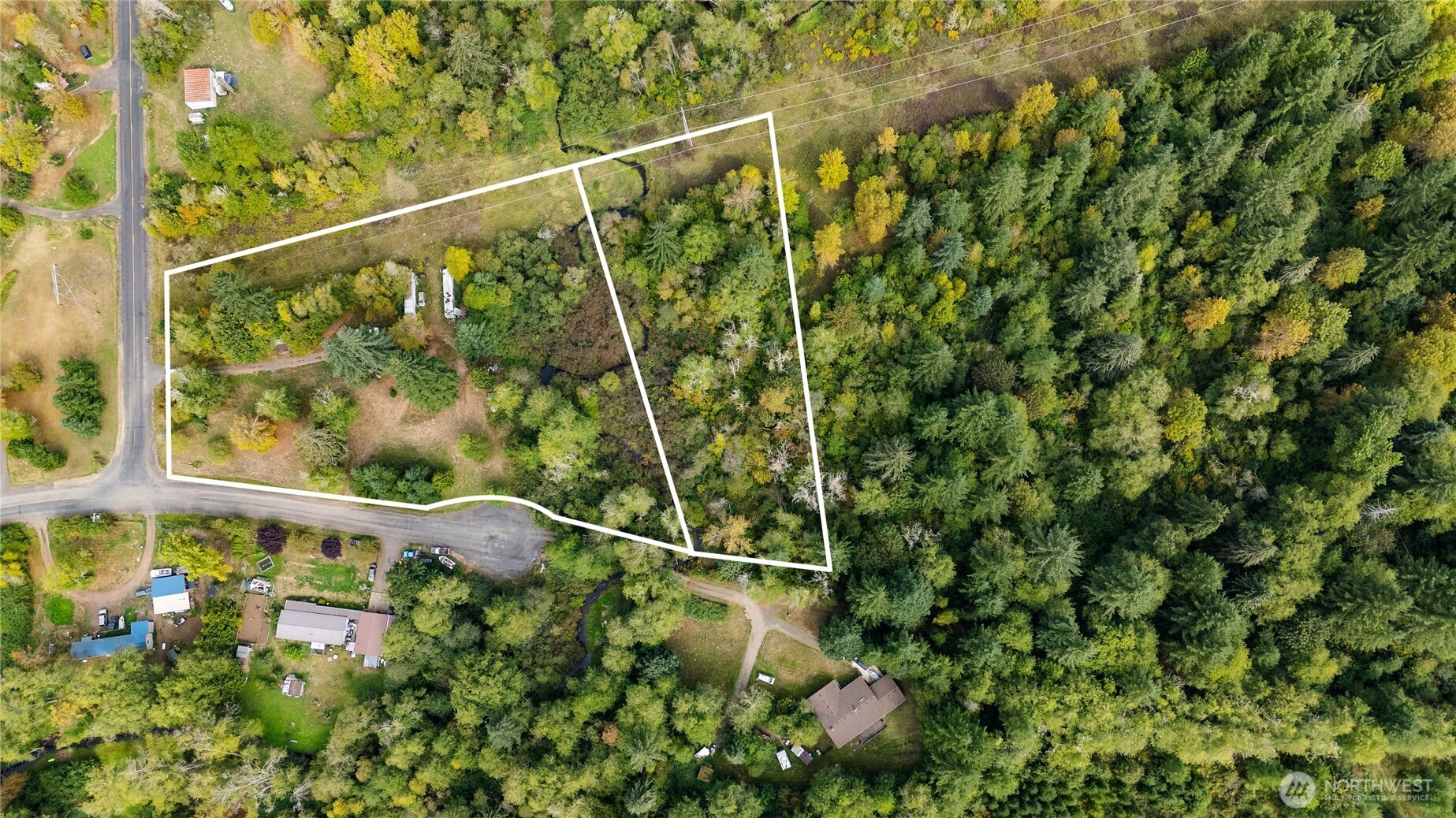 459 View Ridge Road Onalaska, WA 98570 - Photo 12 of 24 a picture of a tree with a plant