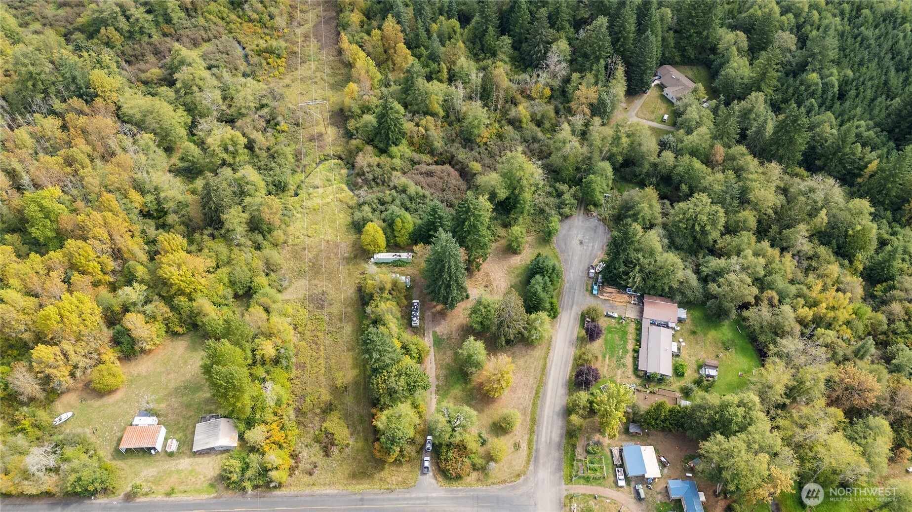 459 View Ridge Road Onalaska, WA 98570 - Photo 15 of 24 a view of a yard with plants