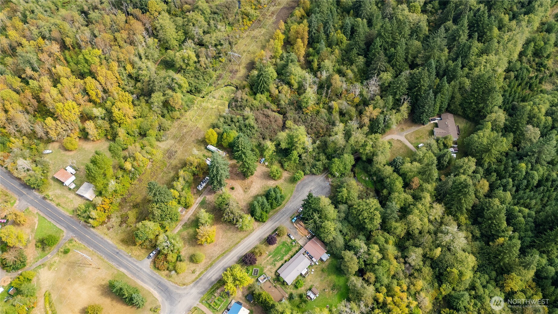 459 View Ridge Road Onalaska, WA 98570 - Photo 16 of 24 a view of a yard with plants