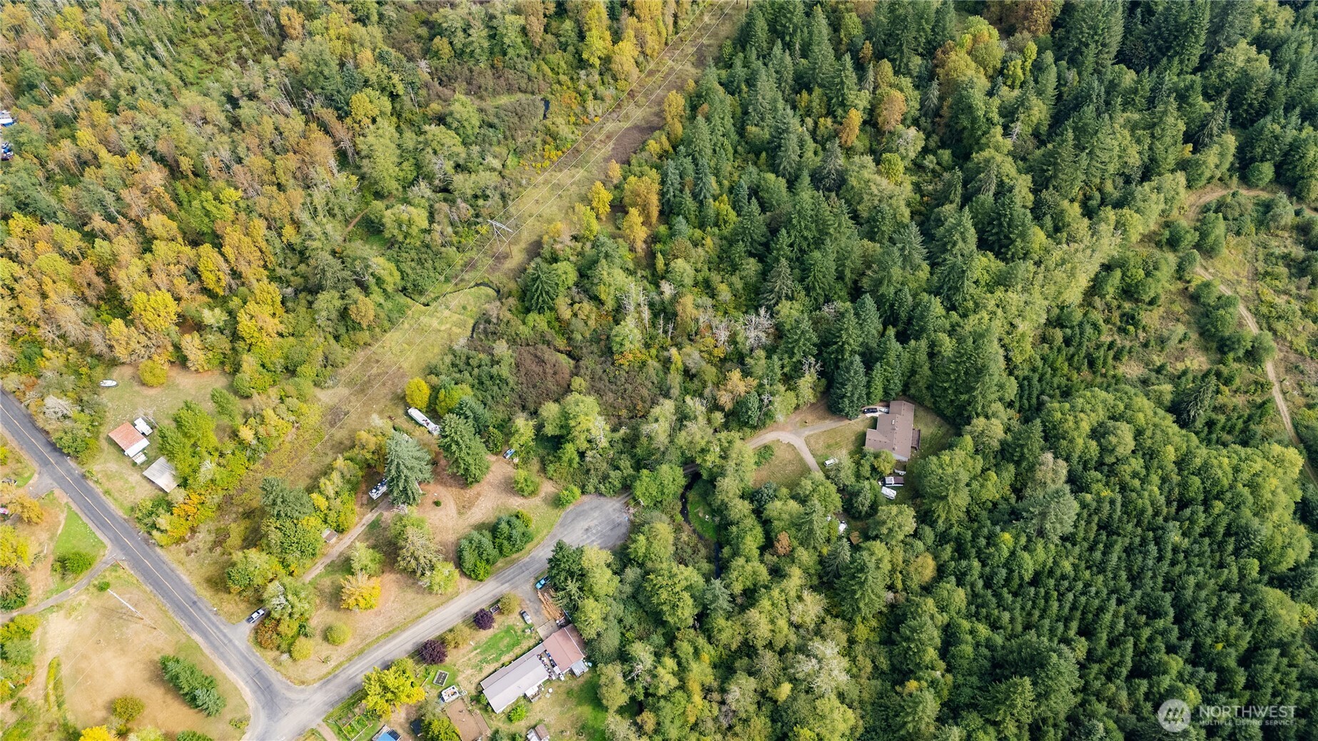 459 View Ridge Road Onalaska, WA 98570 - Photo 17 of 24 a view of a yard with a tree