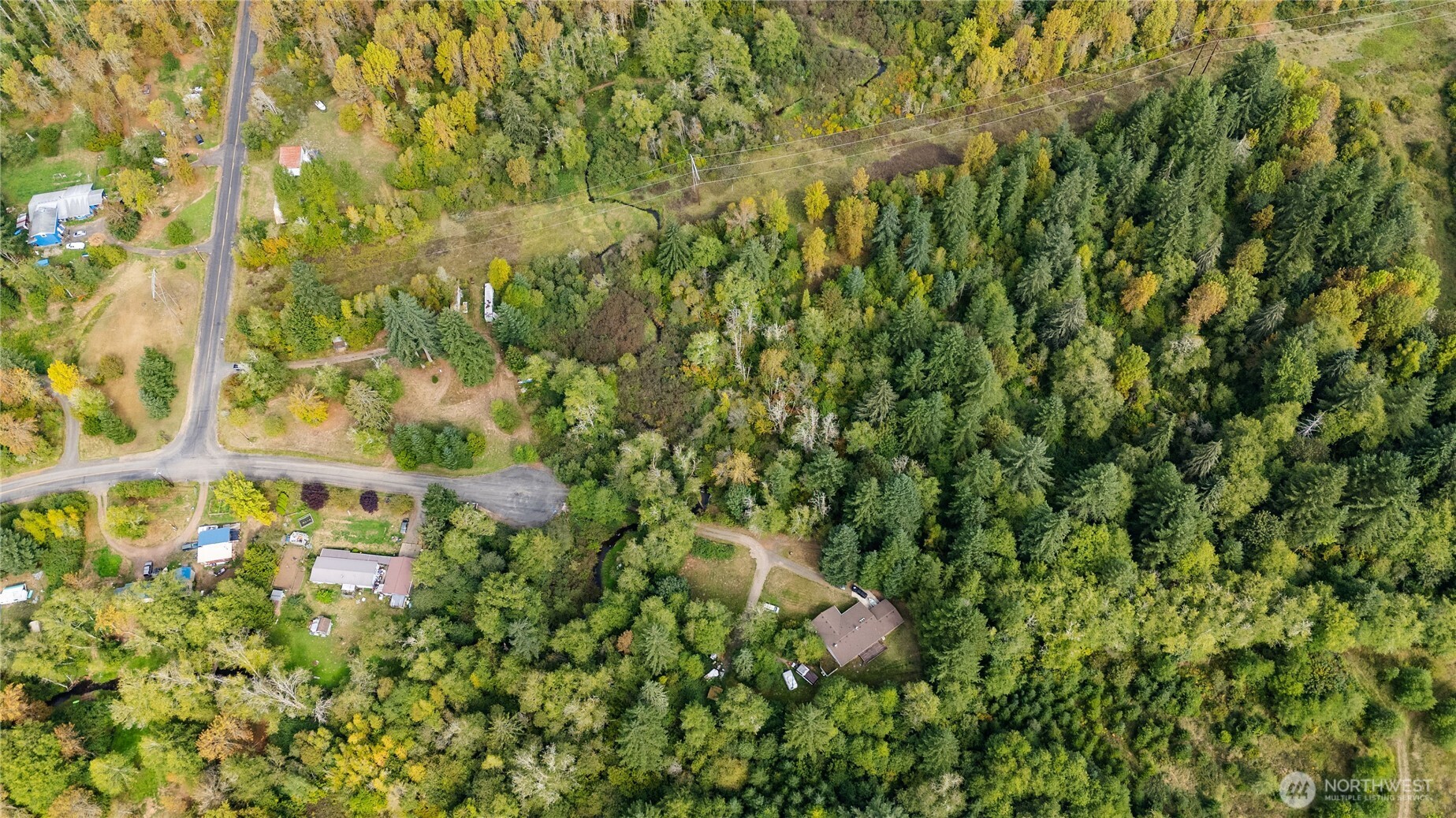 459 View Ridge Road Onalaska, WA 98570 - Photo 18 of 24 a close up of a plant