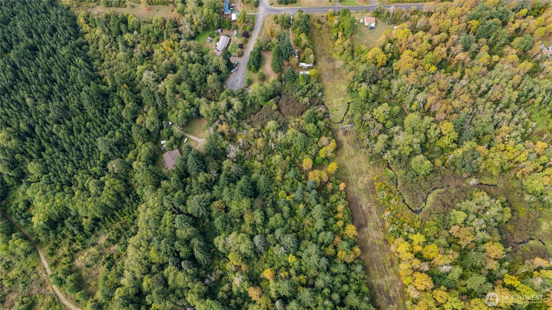 459 View Ridge Road Onalaska, WA 98570 - Photo 19 of 24 a view of a yard