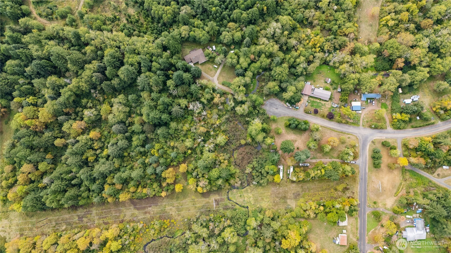 459 View Ridge Road Onalaska, WA 98570 - Photo 20 of 24 a backyard of a building with a tree